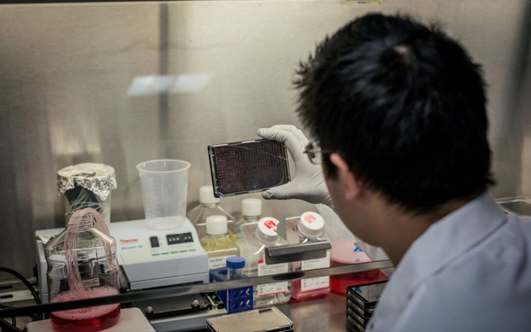 Stratacuity Placement Highlight: A “Spot-On Experience and Culture Fit” At Early Stage Biotech